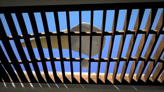 Larva Season 1 (Full)