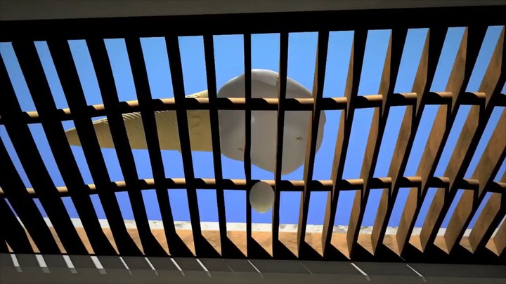 Larva Season 1 (Full)