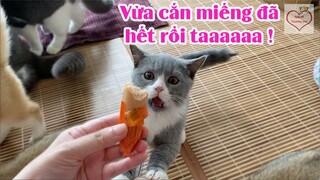 Có mỗi cái chúc chích mà cả nhà cùng ăn ^ ^!