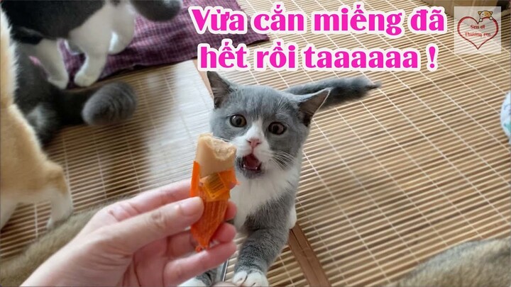 Có mỗi cái chúc chích mà cả nhà cùng ăn ^ ^!