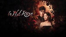 wild rose 1