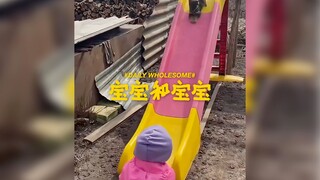 宝宝和宝宝，你们都是好宝宝 🥹