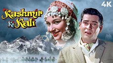 Kashmir Ki Kali (1964)
