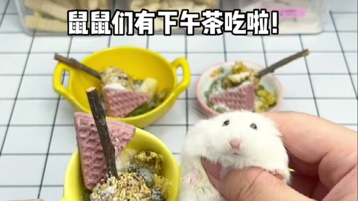 Trà chiều của các bạn chuột đây rồi! Ngon lắm, chỉ có điều hơi dính răng một chút thôi～