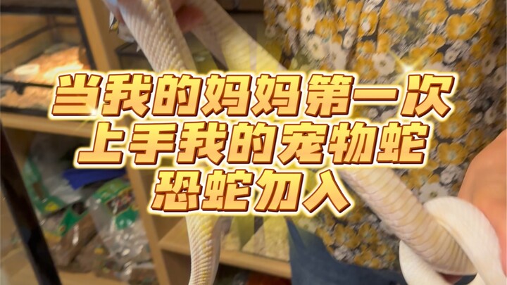 Khi mẹ tôi lần đầu tiên chạm vào con rắn cưng của tôi