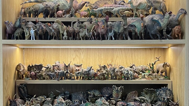 Dinosaur Model Collection