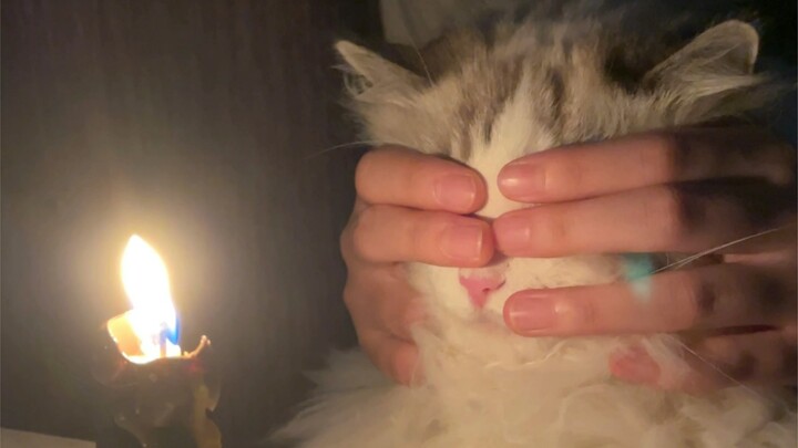 Strawberry is three years old!