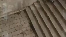 นิ่งเฉินทะลุมิติมาเป็นองค์ชาย 4 พากย์ไทย
