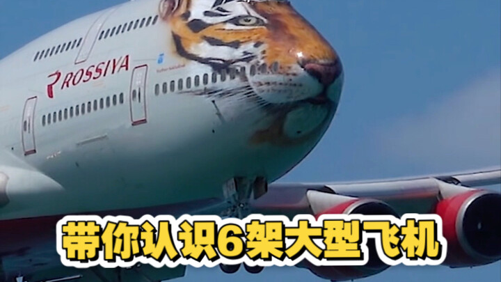 Introducing 6 Large Aircraft to You