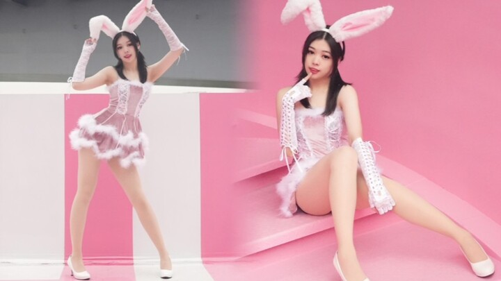【Màn hình dọc】Phong cách thỏ hồng dịu dàng♬