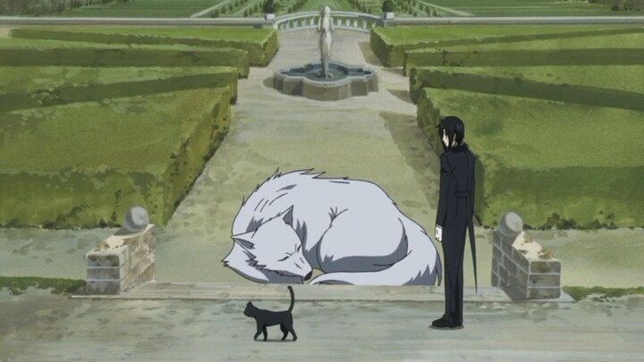 Sebastian finds a cat