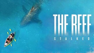 The Reef : Stalked ครีบพิฆาต [แนะนำหนังมาแรง]