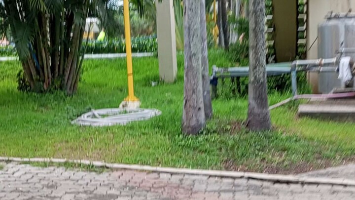 Greenville resort in dau Pampanga