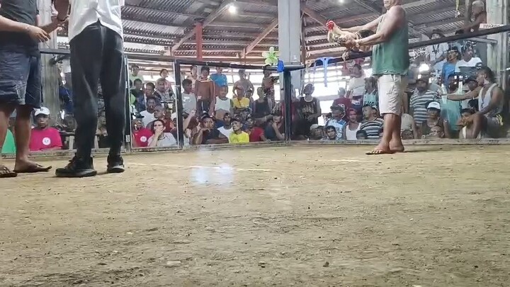 pula sakin diyan bilis lang ng laban 🐓🫶