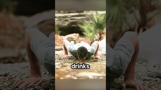 #shorts The Man Was Sent To The Desert Whenever He Drank Water