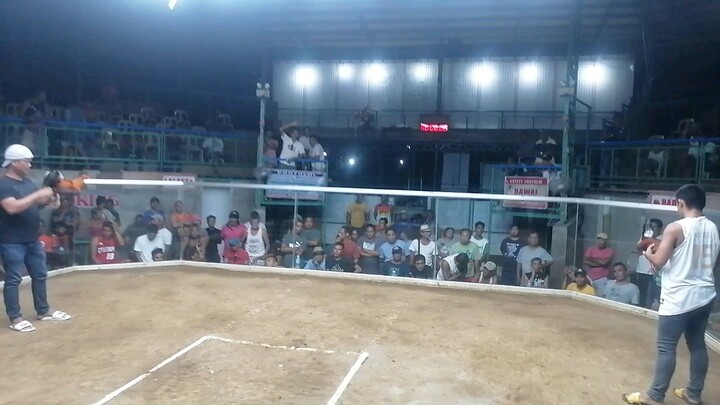 last fight Win 3cocks escalante city December2