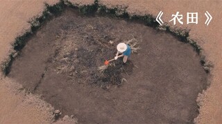 女人只是去做个美容，竟发现脸上长了块农田！奇幻片