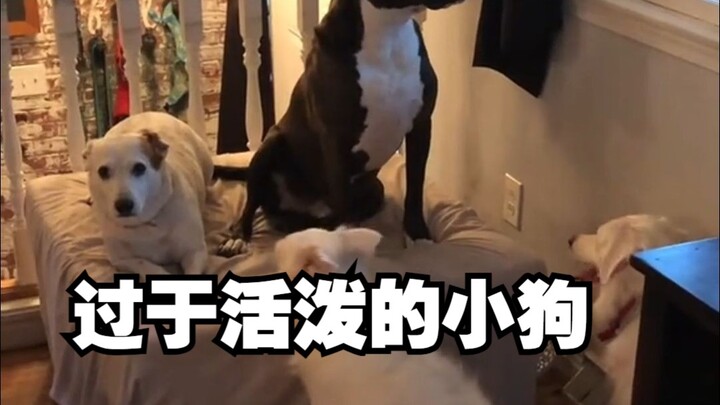 Ketika temanmu terlalu ceria, kamu kayak gini: