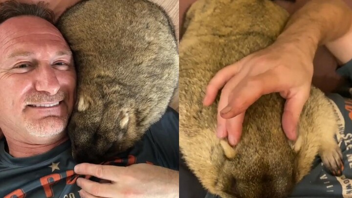 Chuột đất: Vui quá! Cuối cùng cũng thoát khỏi cô chủ nữ, được trở về vòng tay của ông chủ rồi!