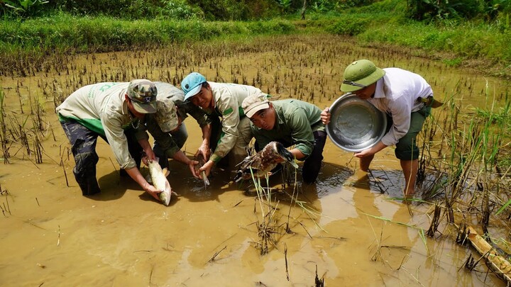 THÁO RUỘNG LÀM MÓN GỎI CÁ | Nhịp Sống Tây Bắc