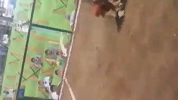 4X winner super sweater