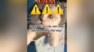 Các đồng Sen nhớ nhé.....😺😺🐈🐈 Bé_Bông fyp thucung foryou meow kienthuc