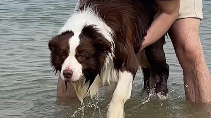 So it's been front-wheel drive all along, not four-wheel drive...