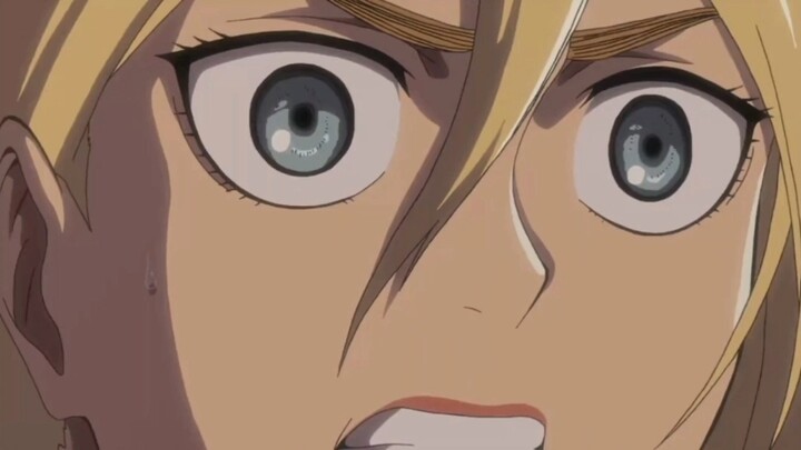 Reiner: Cứ cưới cô ấy đi.