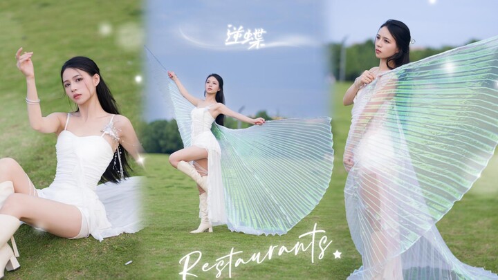 【Tiểu Điệp】|Chế độ dọc 4k| Cảm ơn các bạn, chúc mừng kỷ niệm 3 năm