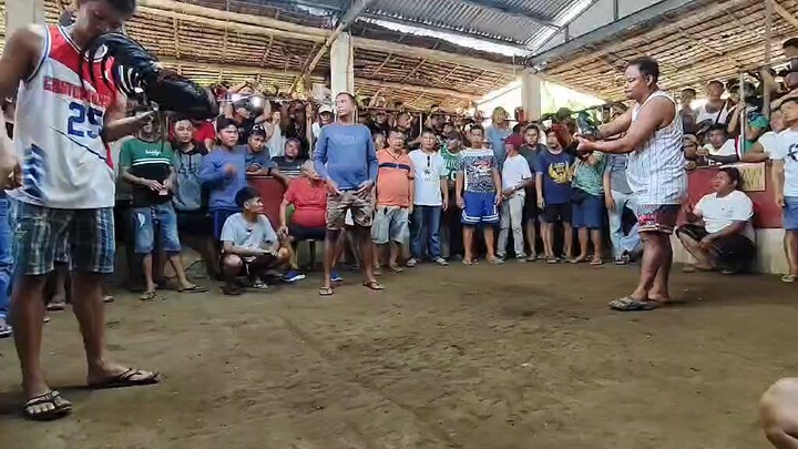 36k parada buyugin vs pula