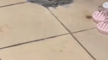 Cảm ơn sự hợp tác!