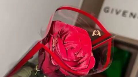 กุหลาบละเด้อ