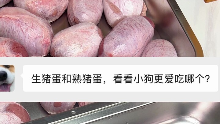 Bạn có muốn xem tôi bẻ đôi quả trứng lợn không? Trả lời tôi đi!!