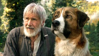 Loyal Dog Fights To Avenges His Owner's Death