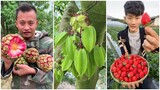 😍Farm Fresh Ninja Fruit | Tik Tok China | (Oddly Satisfying Fruit Ninja) #50