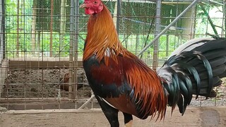 sweaters 🔥🔥🔥