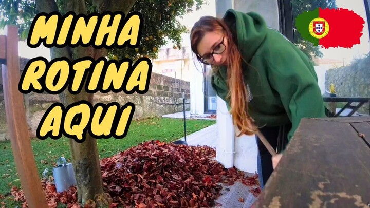 Dia de dar uma geral no meu JARDIM