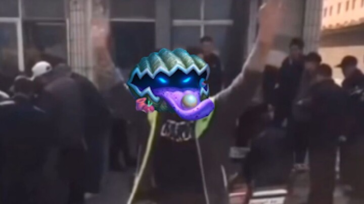 I am a scallop