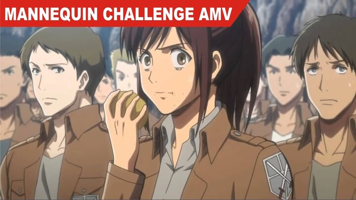 MANNEQUIN CHALLENGE AMV