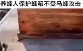 لا شيء سوى البراعة في الاستخدام.