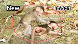 New​ Lesson!!, How To Baby Monkey Teach Baby Walk, Newborn Baby Monkey Learn Walking Very Well