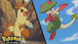 Pokémon AG Tập 358: Vua giác đấu của khu rừng!? Wakashamo VS Kinogassa! (Thuyết Minh)