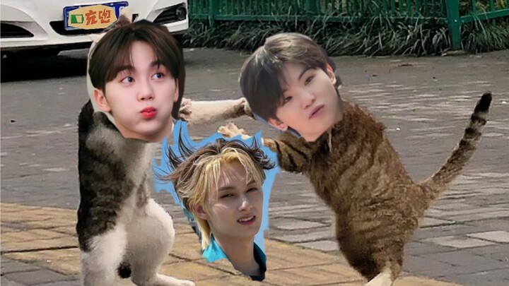 【Mèo cam vs Ji Hui】Cặp đôi siêu ngọt ngào! Khoảnh khắc Seungwan và Ji Hoon thiên vị Moon Junghwi