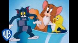 Tom & Jerry em Português | Brasil | Lá Vem os Pássaros | WB Kids