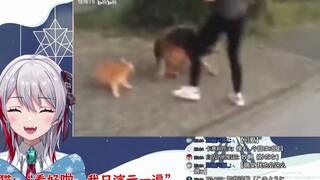 Japanese natural girl watches "Cat: "Okay, I will only demonstrate it once"