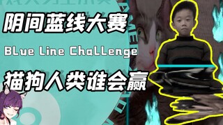 比红眼还搞笑的蓝线挑战？傻猫怪狗齐上场！网友：含笑九泉太搞