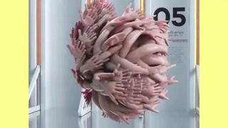 Apa itu "nilai san turun drastis"? [Pengetahuan tentang istilah populer]