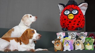 Dogs vs Giant Furby เล่นตลก! ตลกสุนัข vs Furbies Invasion Pranks