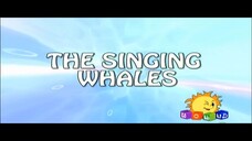 Winx Club 5x19 - The Singing Whales (Kannada - Chintu TV)