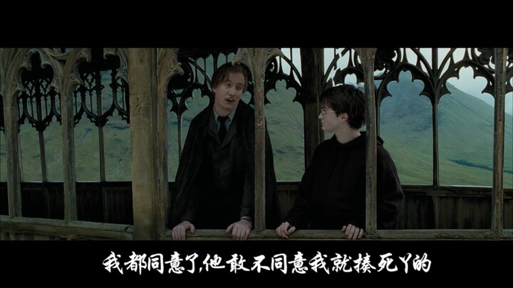 【HP斯哈/Snarry/微all哈/微犬狼】醋坛教授，在线追妻——哈利是我一个人的！生气气！